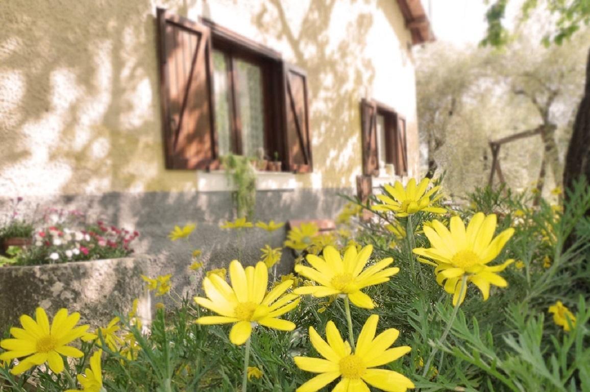 Macchiapiede Bed and breakfast